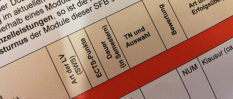 Bildausschnitt einer Studienordnung (Foto: Fakultät für Humanwissenschaften)