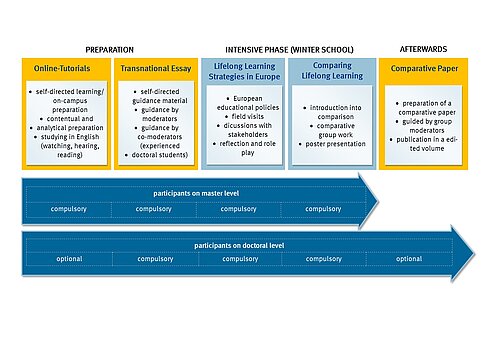 Graphik Professionalized pathways