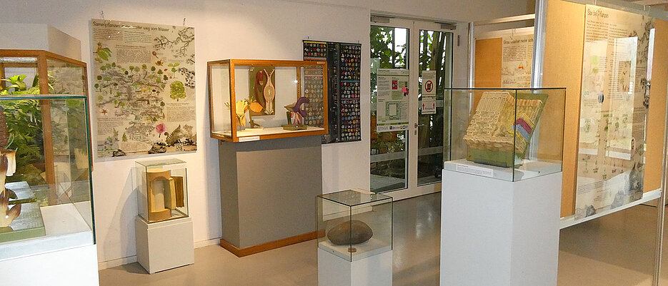 Die Ausstellung kann zu den üblichen Öffnungszeiten des Botanischen Gartens besucht werden. Der Eintritt ist kostenlos.