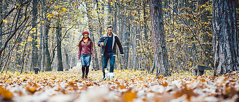 Man and woman walking in a forest