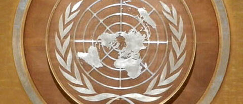 NMUN Logo