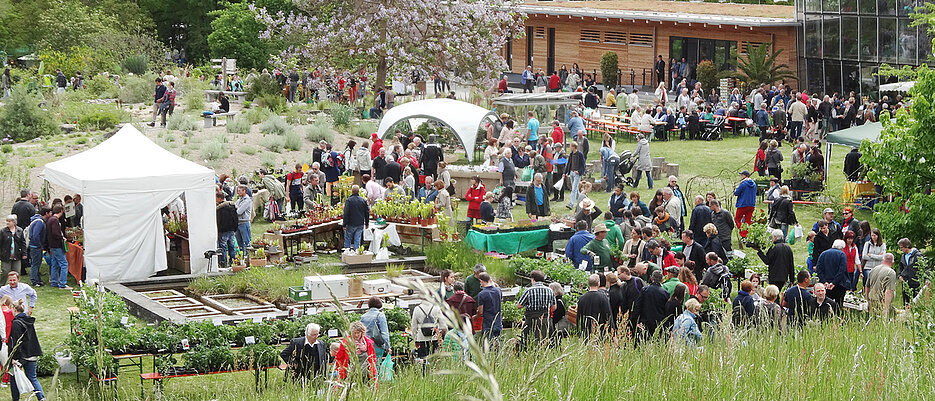 Äußerst beliebt - die Pflanzenbörse beschert dem Botanischen Garten jährlich den besucherreichsten Tag.