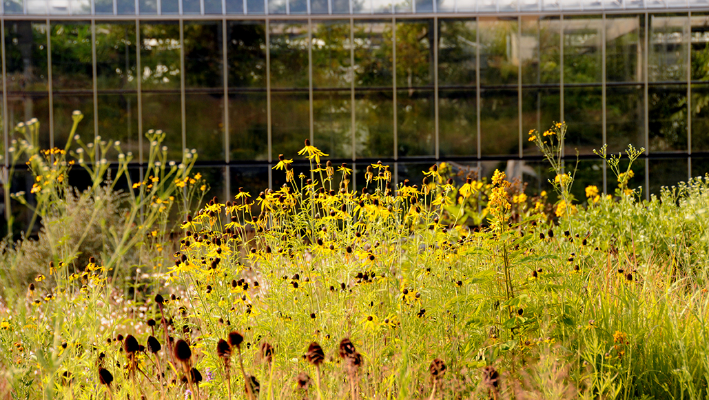 Der Geschichte des Botanischen Gartens auf der Spur Fakultät für